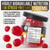 Sleep Support Ashwagandha Gummies Supplement