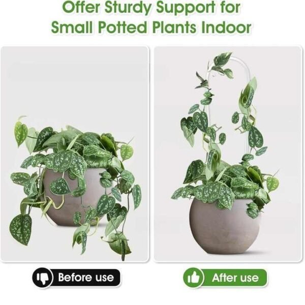 Clear Acrylic Plant Support Trellis