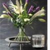 Ikbana Spiral Flower Arrangement Tool