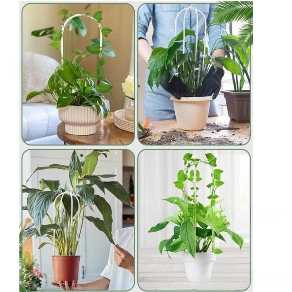 Clear Acrylic Plant Support Trellis