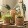 Vintage Checkered Cement Flower Planter