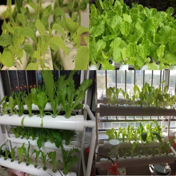 Hydroponic Plastic Fixing Basket